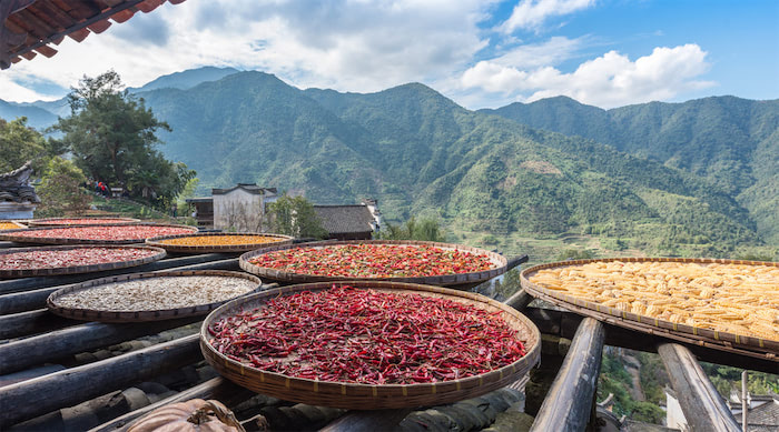 2000年人均工资_年人均纯收入怎么算