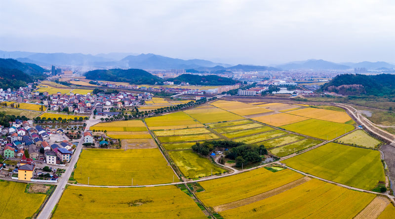 各地区不同的征地补偿标准