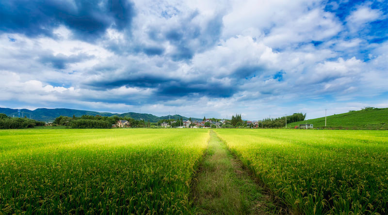 农村私人土地租赁合同范本
