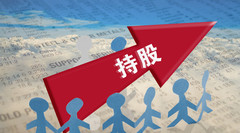 股权质押担保