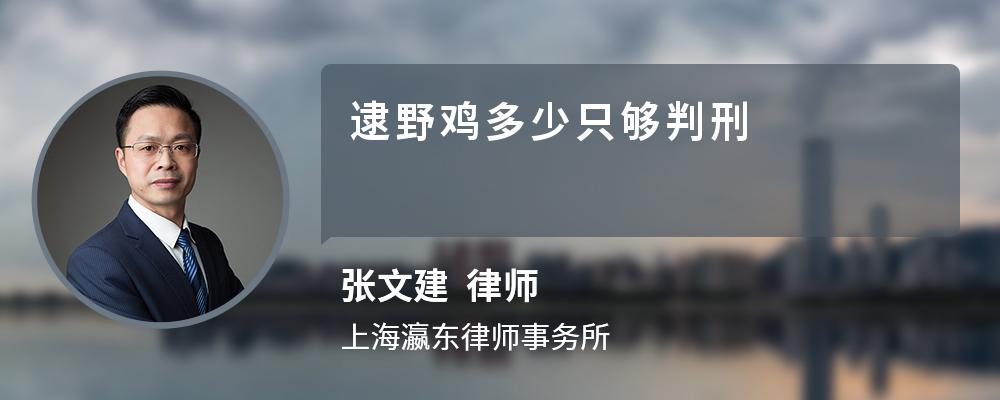 逮野鸡多少只够判刑 逮野鸡多少只够判刑