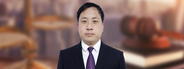 保定律师-王林