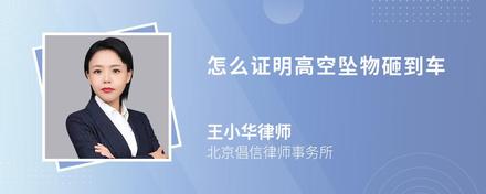 怎么证明高空坠物砸到车