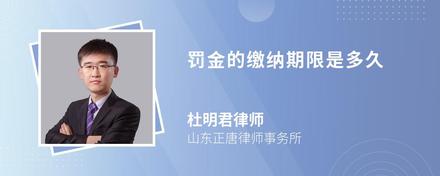 罚金的缴纳期限是多久