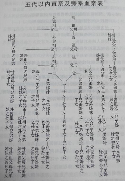 贾宝玉人物关系亲属图片