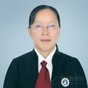  Tai'an Lawyer Wang Meilan