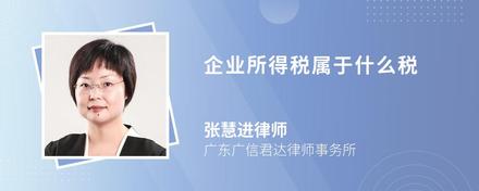 企业所得税属于什么税