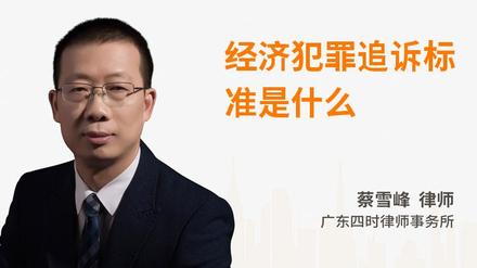 经济犯罪追诉标准是什么