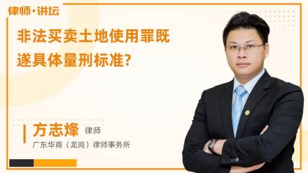 非法买卖土地使用罪既遂具体量刑标准?