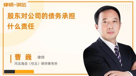 股东对公司的债务承担什么责任