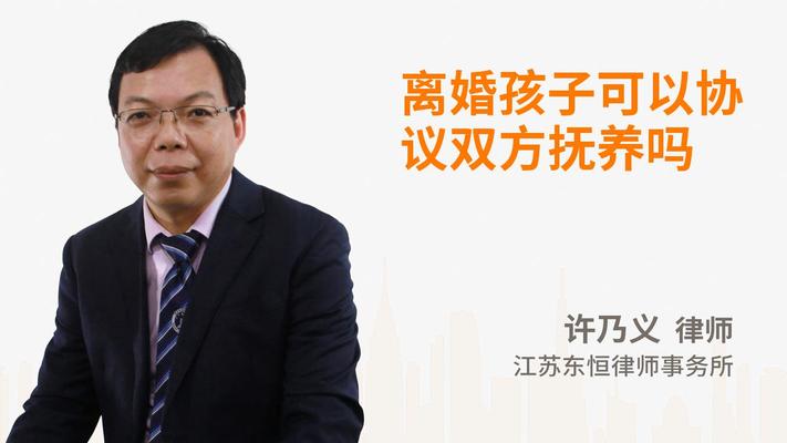 离婚孩子可以协议双方抚养吗